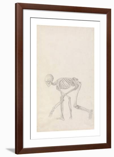 Human Skeleton, Lateral View (In Crouching Position)-George Stubbs-Framed Premium Giclee Print