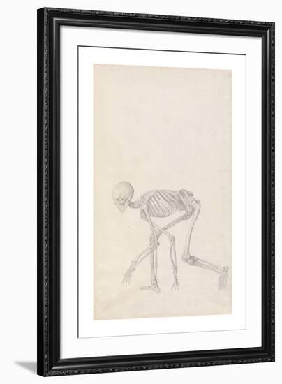 Human Skeleton, Lateral View (In Crouching Position)-George Stubbs-Framed Premium Giclee Print
