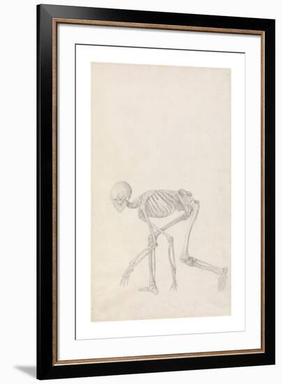 Human Skeleton, Lateral View (In Crouching Position)-George Stubbs-Framed Premium Giclee Print