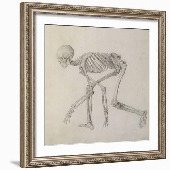 Human Skeleton: Lateral View in Crouching Posture-George Stubbs-Framed Giclee Print