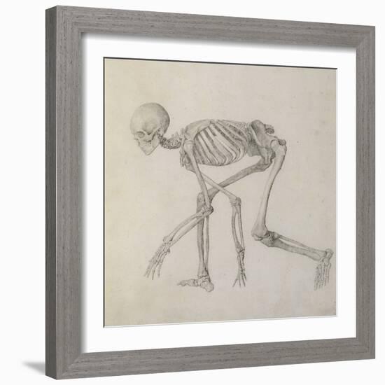 Human Skeleton: Lateral View in Crouching Posture-George Stubbs-Framed Giclee Print