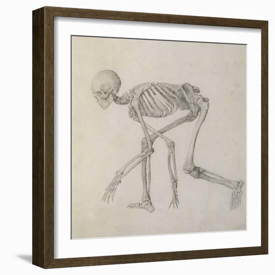 Human Skeleton: Lateral View in Crouching Posture-George Stubbs-Framed Giclee Print