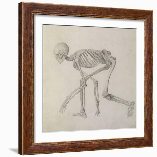 Human Skeleton: Lateral View in Crouching Posture-George Stubbs-Framed Giclee Print