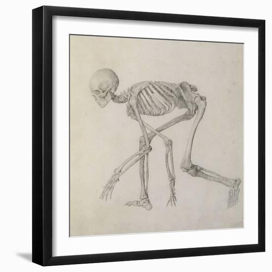 Human Skeleton: Lateral View in Crouching Posture-George Stubbs-Framed Giclee Print