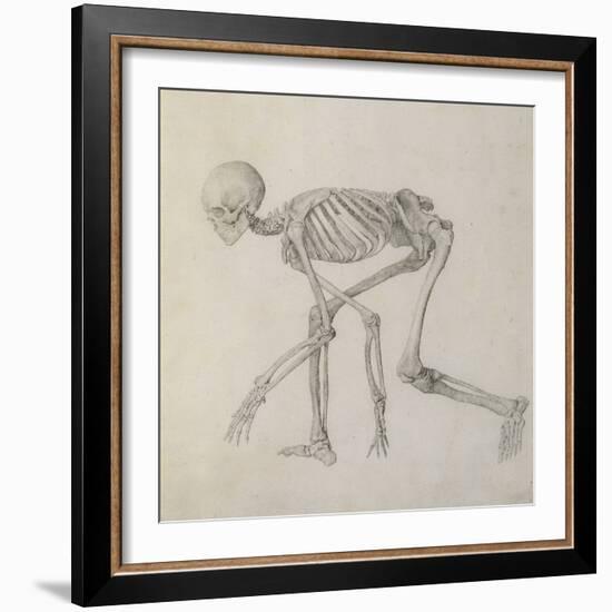 Human Skeleton: Lateral View in Crouching Posture-George Stubbs-Framed Giclee Print