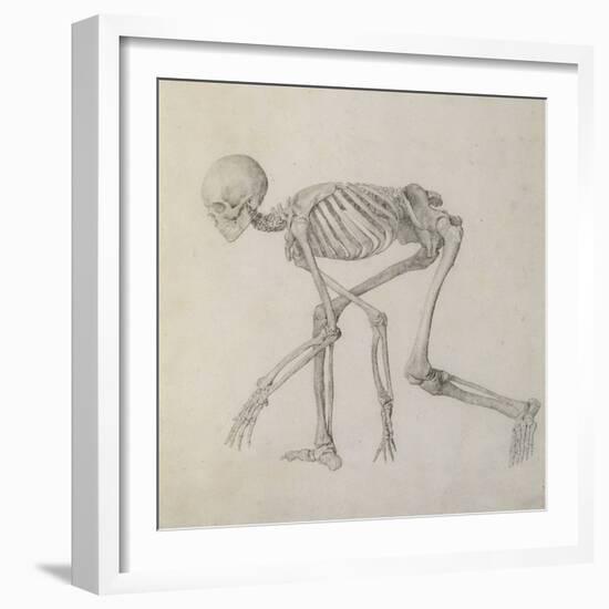 Human Skeleton: Lateral View in Crouching Posture-George Stubbs-Framed Giclee Print