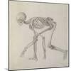 Human Skeleton: Lateral View in Crouching Posture-George Stubbs-Mounted Giclee Print