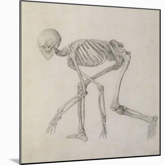 Human Skeleton: Lateral View in Crouching Posture-George Stubbs-Mounted Giclee Print