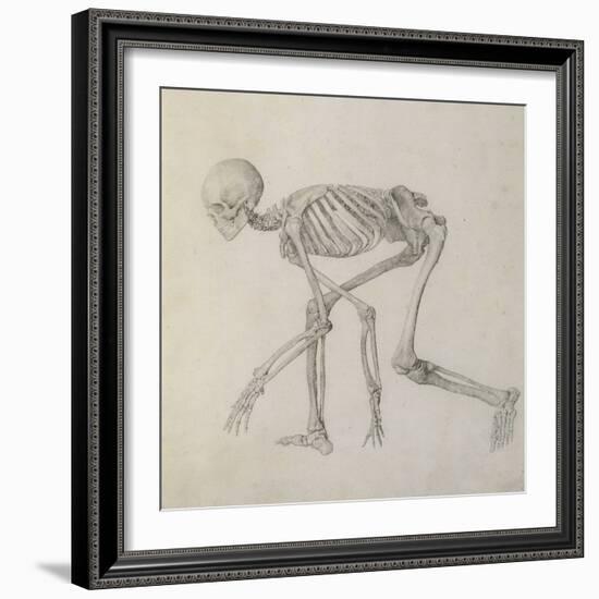 Human Skeleton: Lateral View in Crouching Posture-George Stubbs-Framed Giclee Print