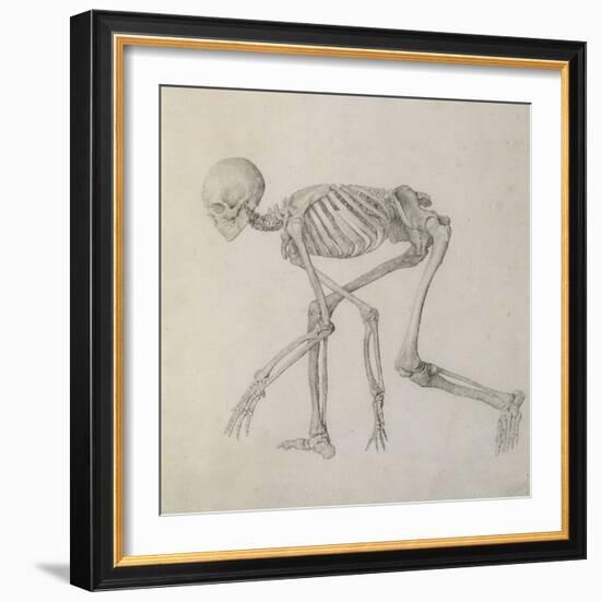 Human Skeleton: Lateral View in Crouching Posture-George Stubbs-Framed Giclee Print