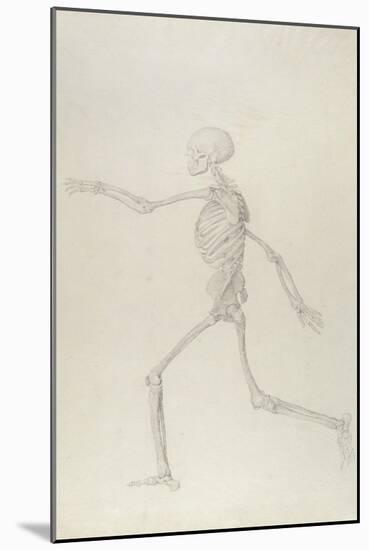 Human Skeleton, Lateral View Seen from the Left, Running, Illustration from 'A Comparative…-George Stubbs-Mounted Giclee Print