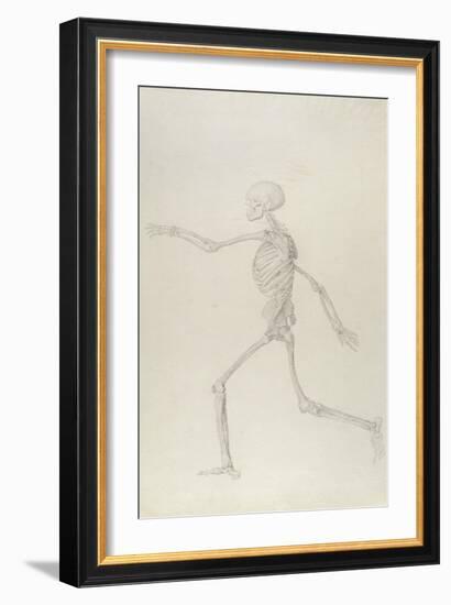 Human Skeleton, Lateral View Seen from the Left, Running, Illustration from 'A Comparative…-George Stubbs-Framed Giclee Print