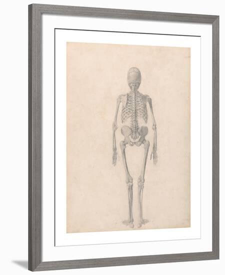 Human Skeleton, Posterior View-George Stubbs-Framed Premium Giclee Print