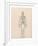 Human Skeleton, Posterior View-George Stubbs-Framed Premium Giclee Print