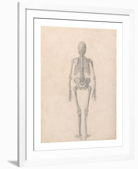 Human Skeleton, Posterior View-George Stubbs-Framed Premium Giclee Print