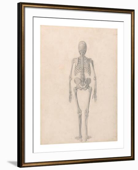 Human Skeleton, Posterior View-George Stubbs-Framed Premium Giclee Print