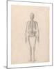 Human Skeleton, Posterior View-George Stubbs-Mounted Premium Giclee Print