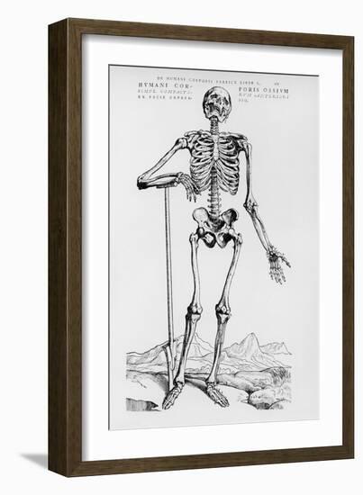 Human Skeleton (Print)-Andreas Vesalius-Framed Giclee Print