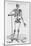 Human Skeleton (Print)-Andreas Vesalius-Mounted Giclee Print