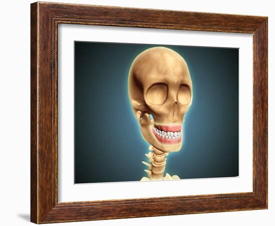 Human Skeleton Showing Teeth and Gums-null-Framed Art Print