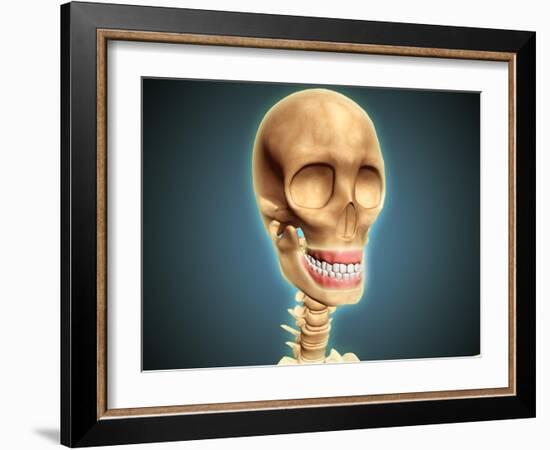 Human Skeleton Showing Teeth and Gums-null-Framed Art Print