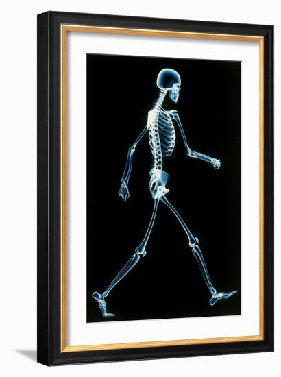 Human Skeleton Walking-PASIEKA-Framed Photographic Print