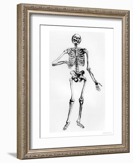 Human Skeleton-Andreas Vesalius-Framed Giclee Print