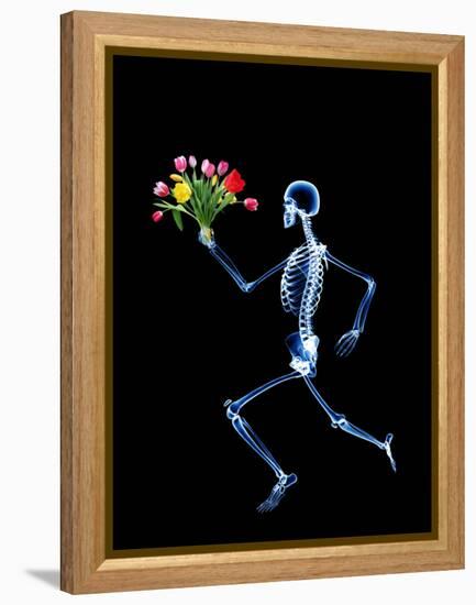 Human Skeleton-PASIEKA-Framed Premier Image Canvas