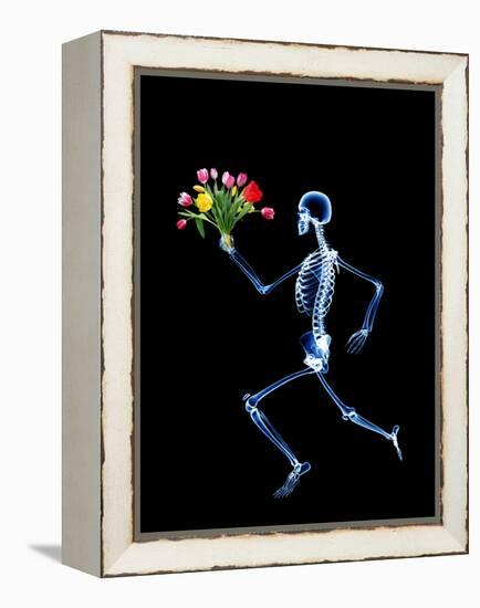 Human Skeleton-PASIEKA-Framed Premier Image Canvas
