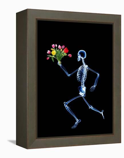 Human Skeleton-PASIEKA-Framed Premier Image Canvas