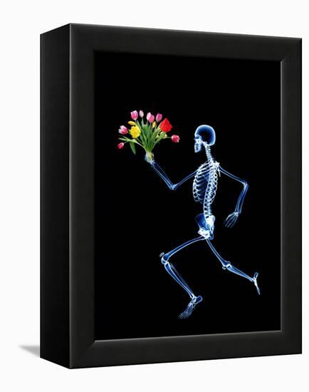 Human Skeleton-PASIEKA-Framed Premier Image Canvas