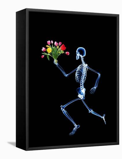 Human Skeleton-PASIEKA-Framed Premier Image Canvas