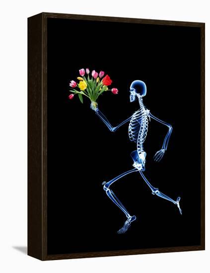 Human Skeleton-PASIEKA-Framed Premier Image Canvas