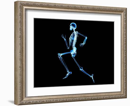 Human Skeleton-PASIEKA-Framed Photographic Print