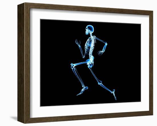 Human Skeleton-PASIEKA-Framed Photographic Print