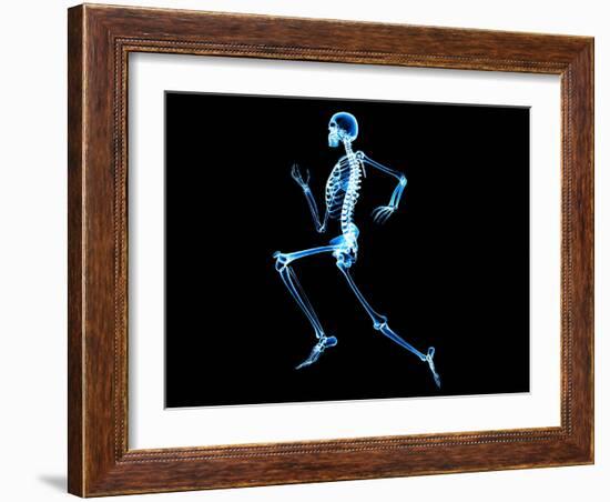 Human Skeleton-PASIEKA-Framed Photographic Print