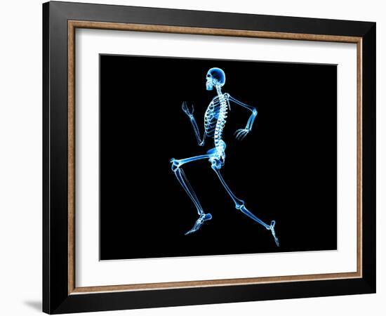 Human Skeleton-PASIEKA-Framed Photographic Print