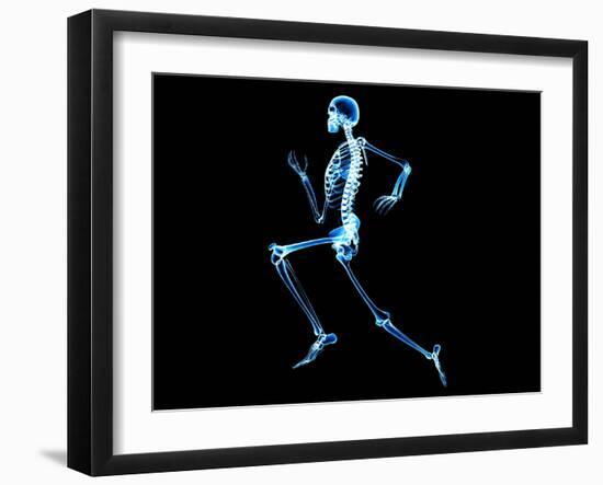 Human Skeleton-PASIEKA-Framed Photographic Print