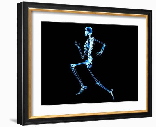 Human Skeleton-PASIEKA-Framed Photographic Print