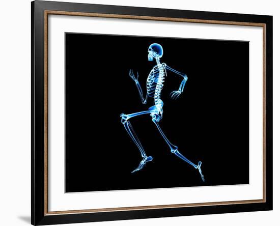 Human Skeleton-PASIEKA-Framed Photographic Print