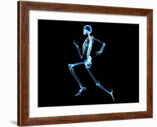 Human Skeleton-PASIEKA-Framed Photographic Print