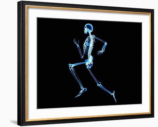 Human Skeleton-PASIEKA-Framed Photographic Print