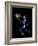 Human Skeleton-PASIEKA-Framed Photographic Print