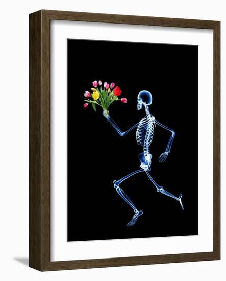 Human Skeleton-PASIEKA-Framed Photographic Print