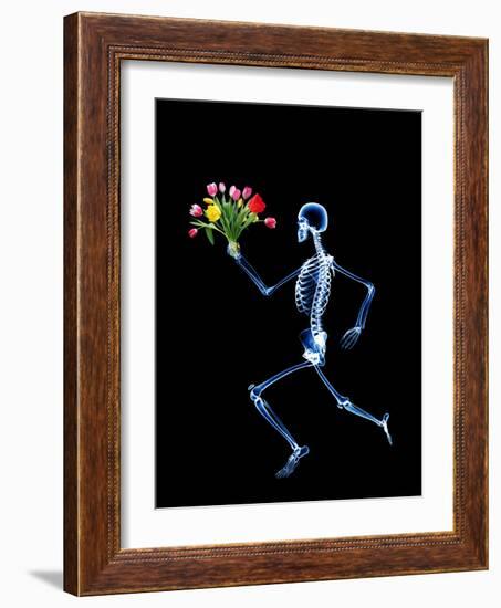 Human Skeleton-PASIEKA-Framed Photographic Print