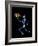 Human Skeleton-PASIEKA-Framed Photographic Print