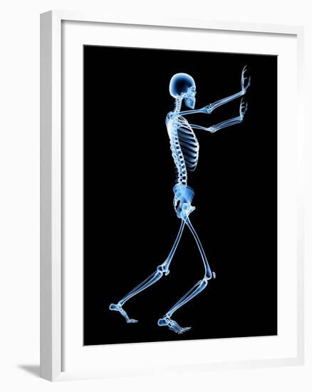 Human Skeleton-PASIEKA-Framed Photographic Print