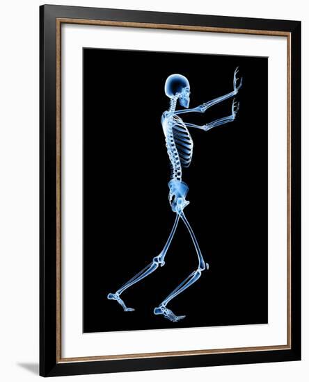 Human Skeleton-PASIEKA-Framed Photographic Print