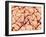 Human Skin Surface, SEM-Susumu Nishinaga-Framed Photographic Print