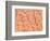 Human Skin-Micro Discovery-Framed Photographic Print